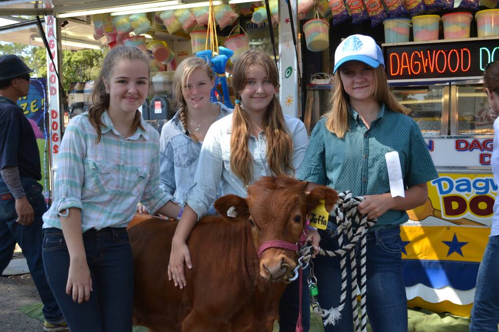 STUDENTS: Nowra High students, Celia Lefevre, Emily Bawden, Bella Lefevre and Lili Connolly-Davies with Jaffa at Nowra Show on Saturday.