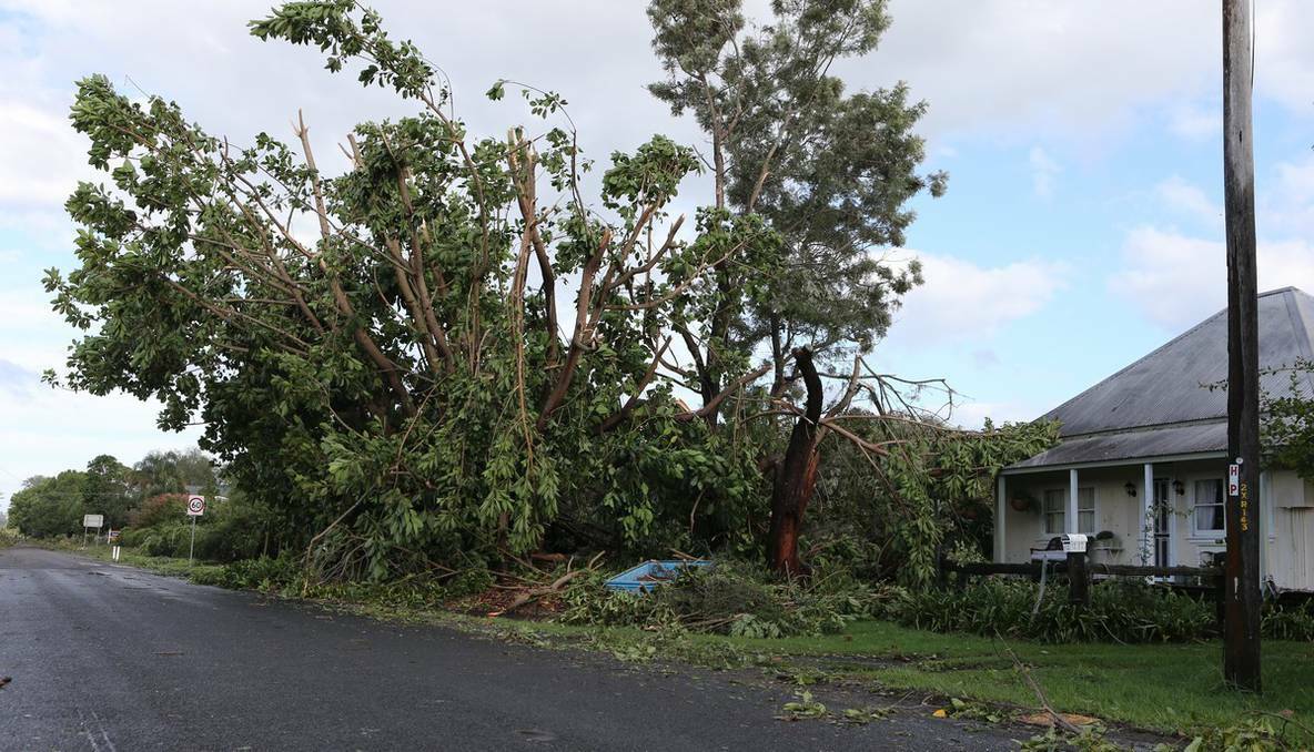 Storm damage at Terara after Sunday morning's wild weather which residents have described as a "mini cyclone". South Coast Register