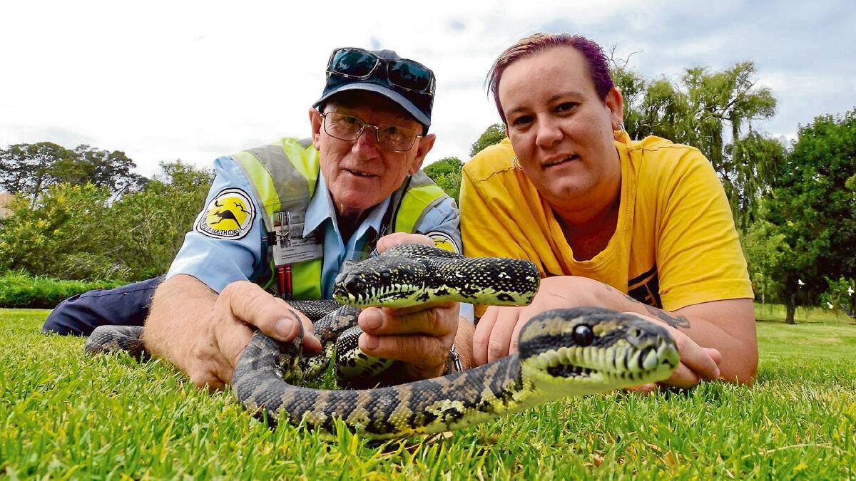 HISSY FIT: Dusty Jones shows Nicky Tierney from Nowra two snakes he removed from someone’s property recently.