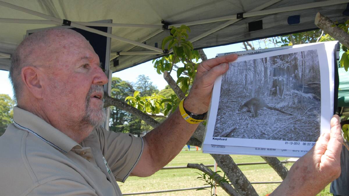 CAUGHT ON FILM: Berry resident and Landcare member Bill Pigott with one of the images from a motion-activated camera used in a pilot project in the northern Shoalhaven.