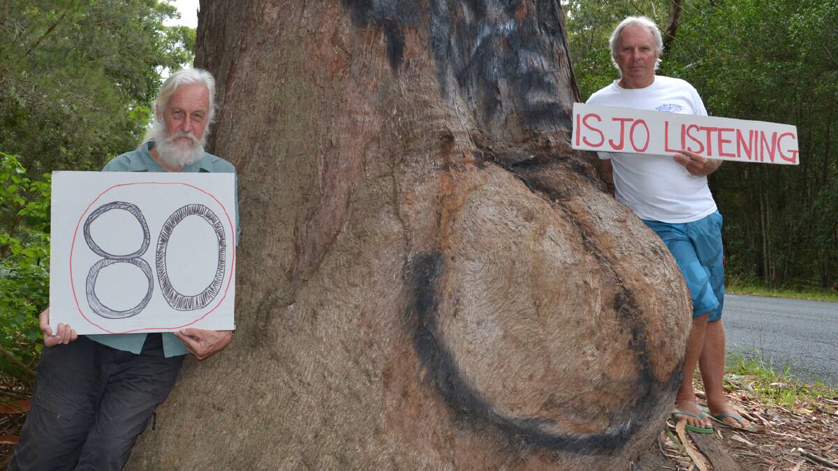 DETERMINED: Secretary of the Gerroa Environmental Protection Society Howard Jones and president Warren Holder at the Bum Tree on Gerroa Road. 